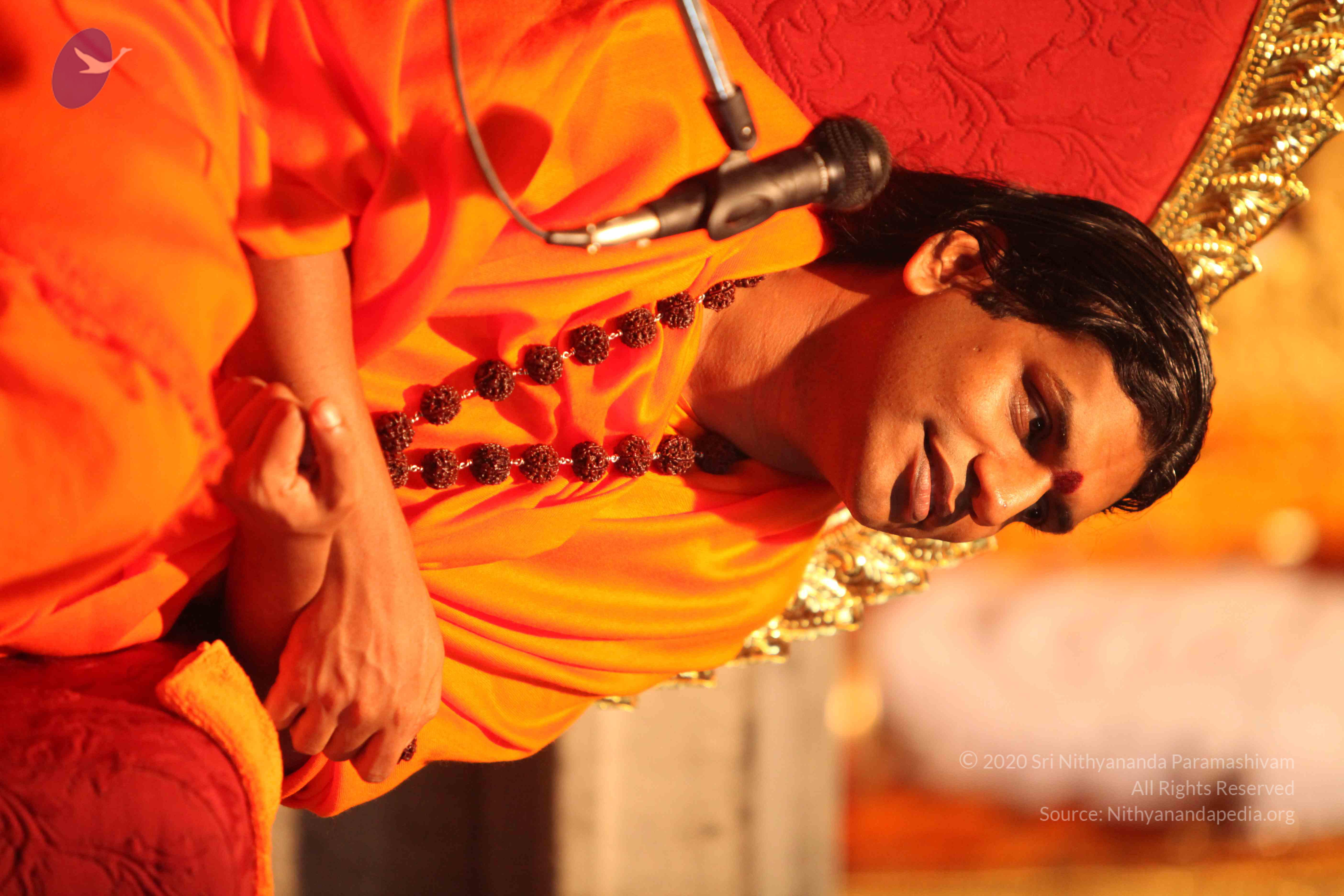 20110225_Photo_1045_IMG_1688_CMP_WM